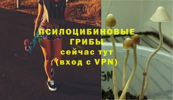 не бодяженный Алзамай