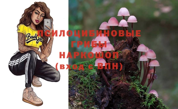 винт Алексеевка