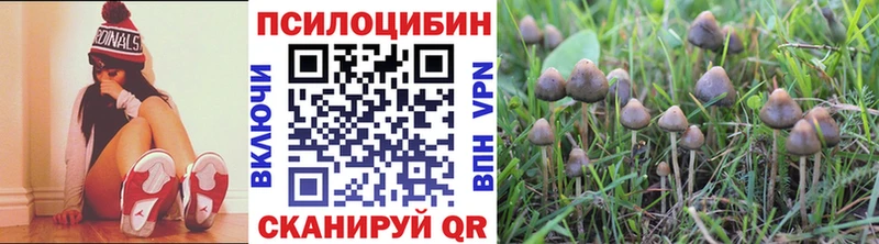 Галлюциногенные грибы Psilocybe купить Арамиль